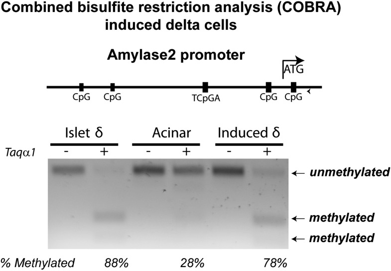 Figure 2—figure supplement 6.