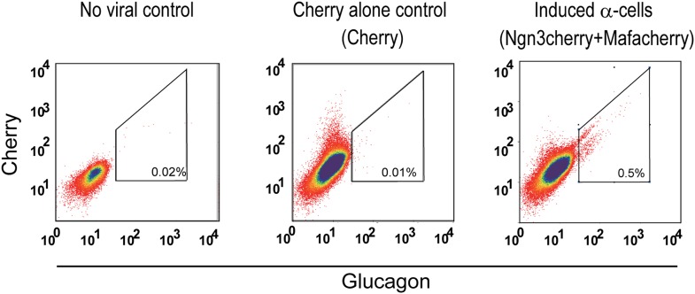 Figure 3—figure supplement 2.