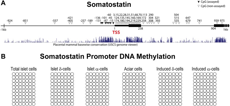 Figure 2—figure supplement 5.