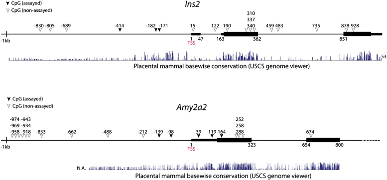 Figure 2—figure supplement 3.