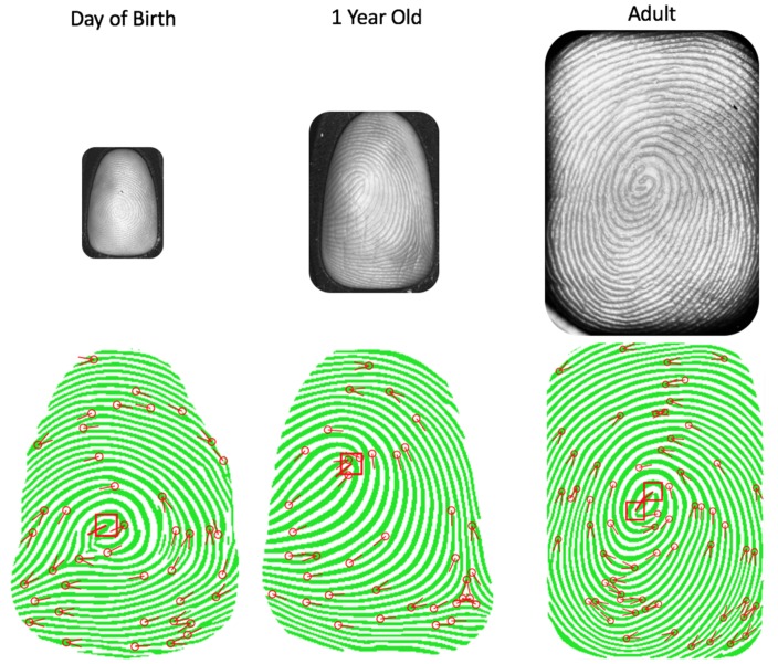 Figure 18. 