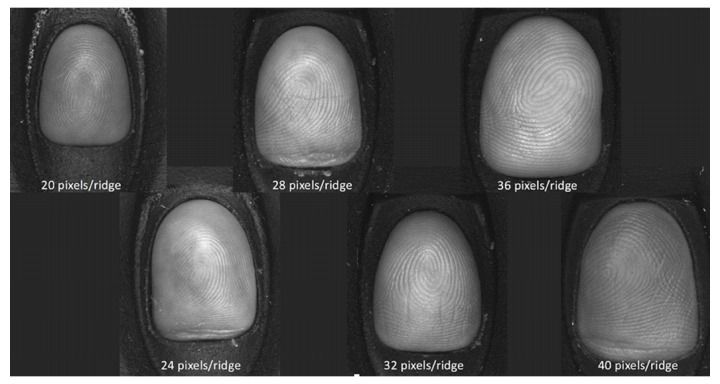 Figure 16. 