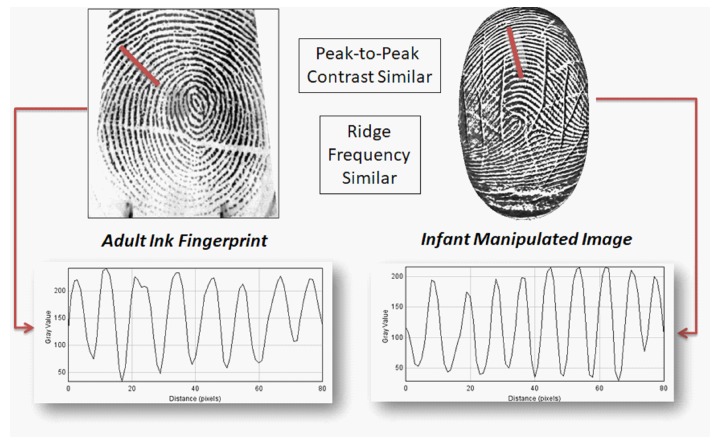 Figure 17. 
