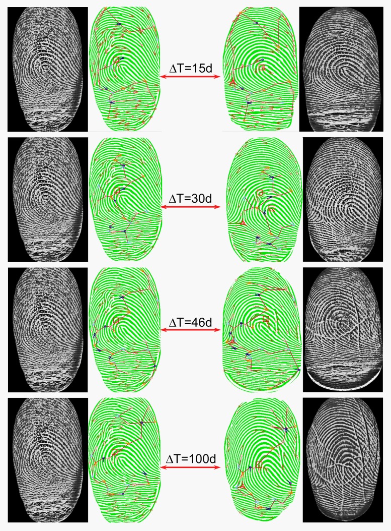 Figure 20. 