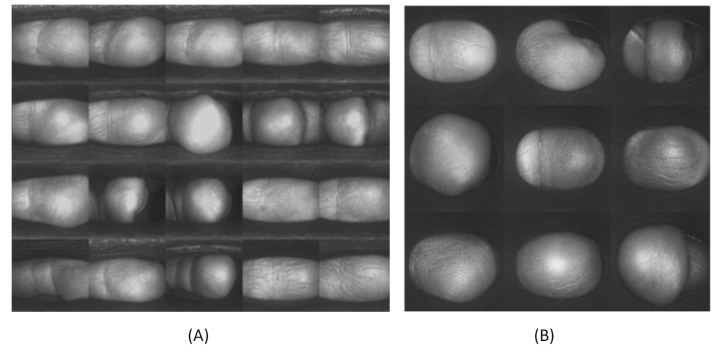 Figure 13. 