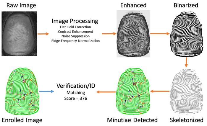 Figure 15. 