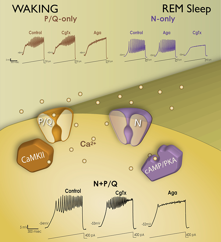 Figure 3.