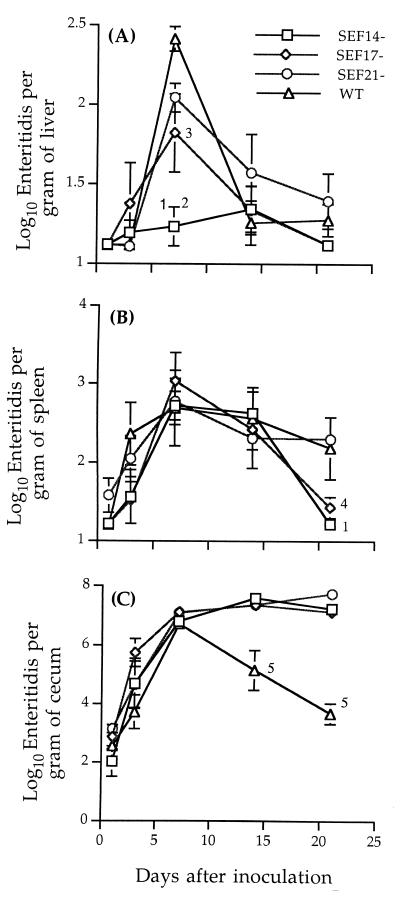 FIG. 3