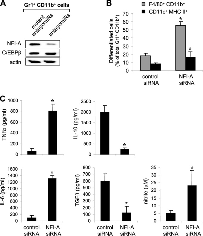 FIG 6