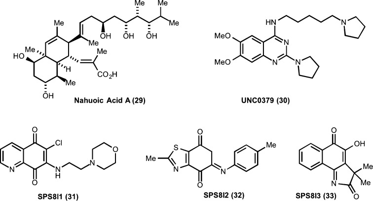 Figure 20