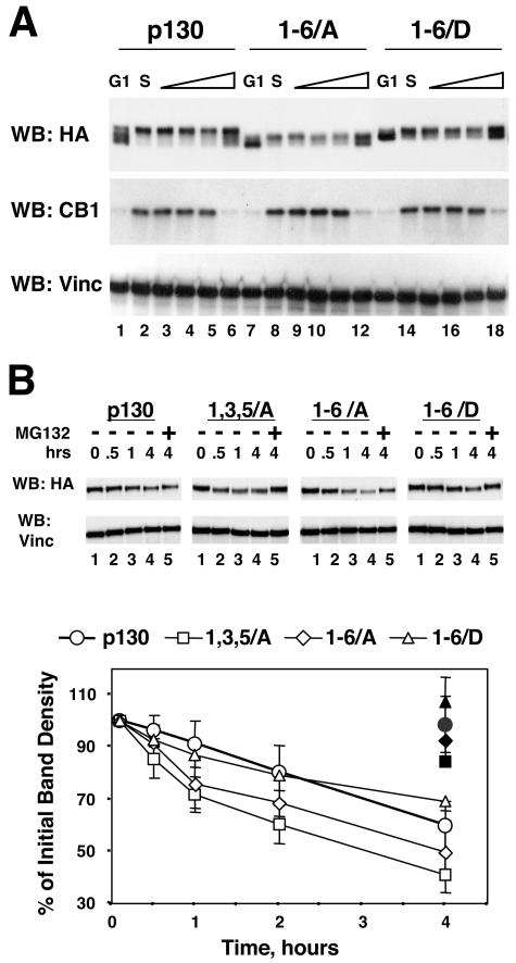 FIG. 5.