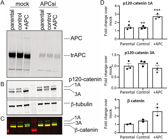 FIGURE 3: