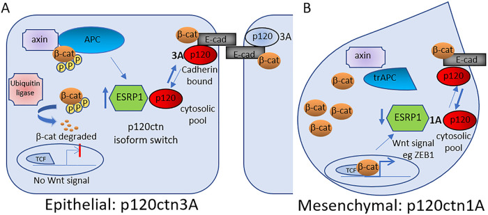 FIGURE 7: