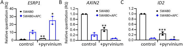 FIGURE 6: