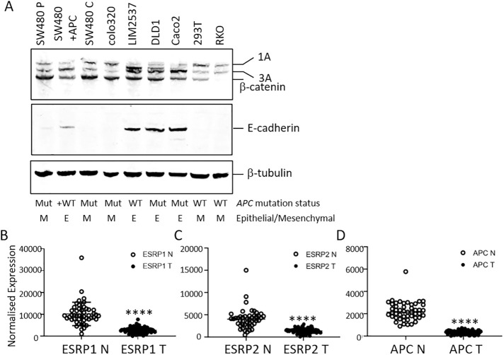 FIGURE 5: