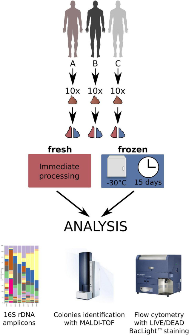 FIGURE 1