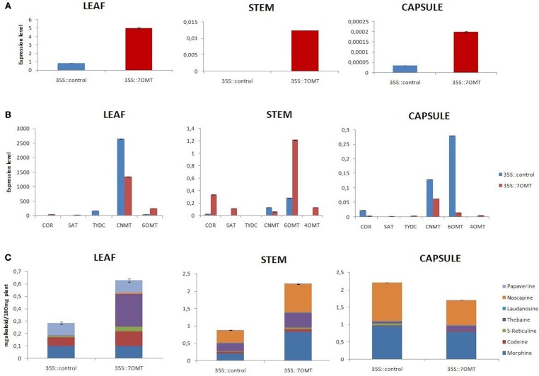 Figure 5