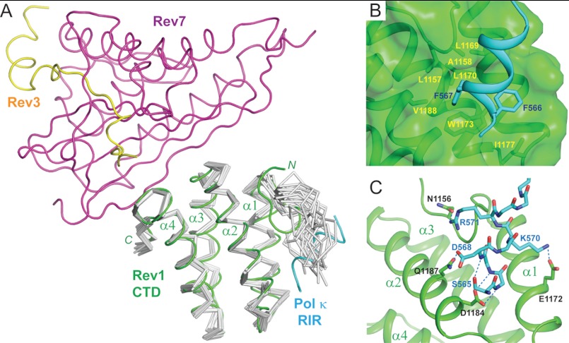 FIGURE 3.