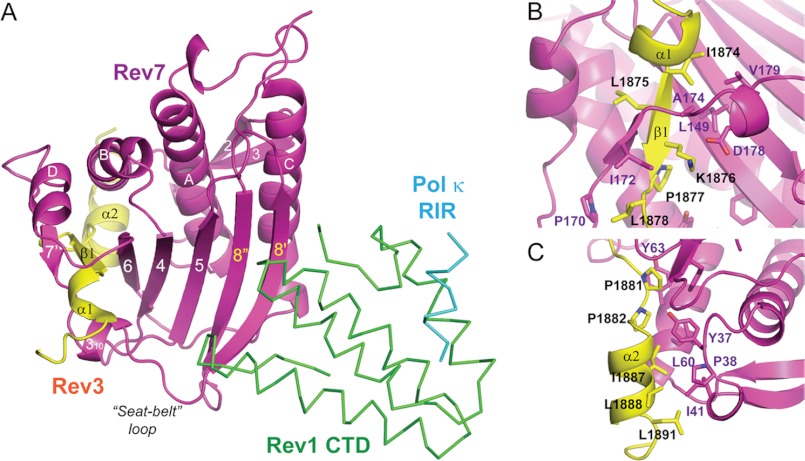 FIGURE 4.