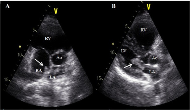 Figure 2