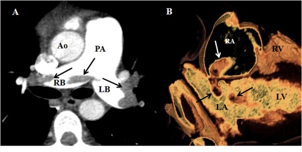 Figure 3