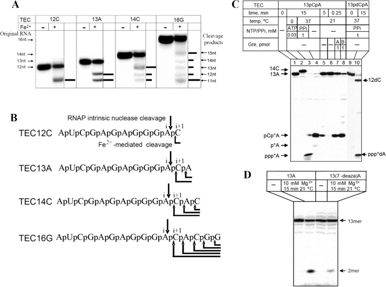 FIGURE 4.