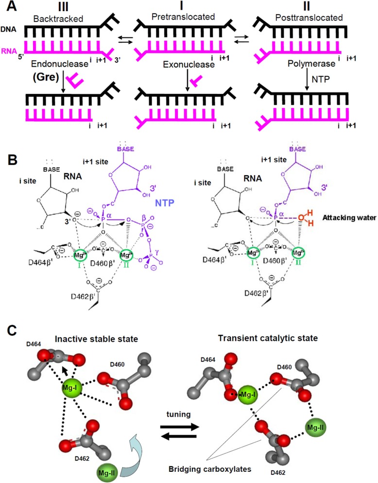 FIGURE 1.