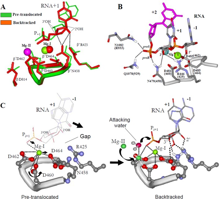 FIGURE 3.