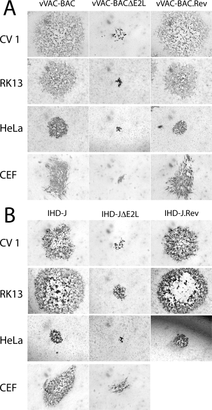 FIG. 5.