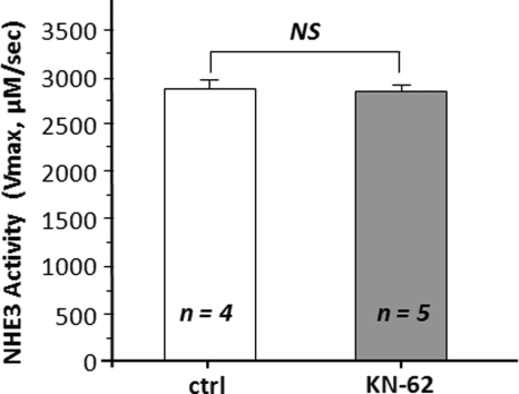 FIGURE 9.