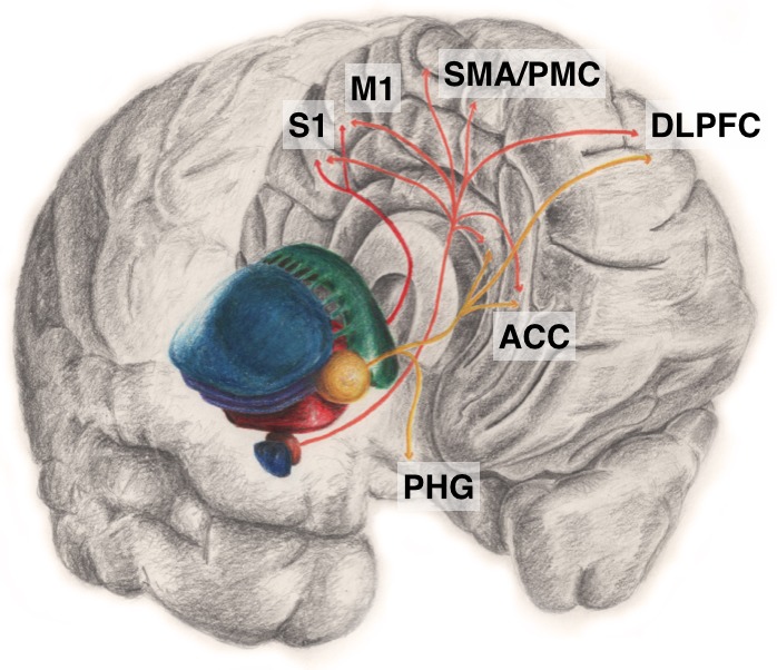 Fig. 1.