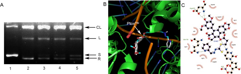 Fig 2