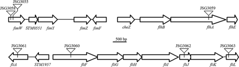 FIG. 1.