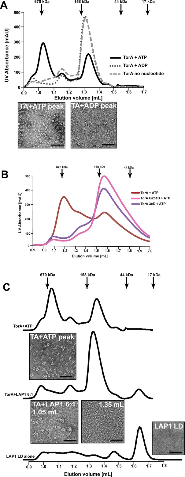 FIGURE 3: