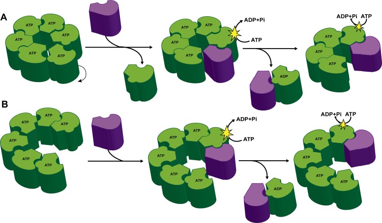 FIGURE 5: