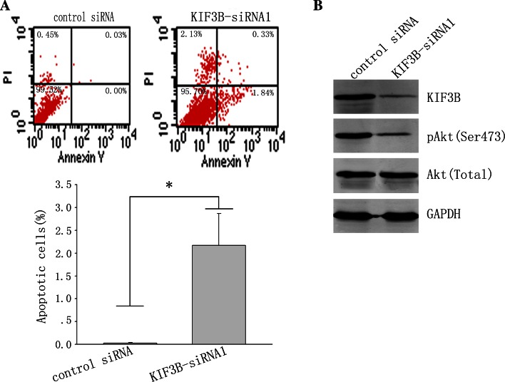 Fig. 7