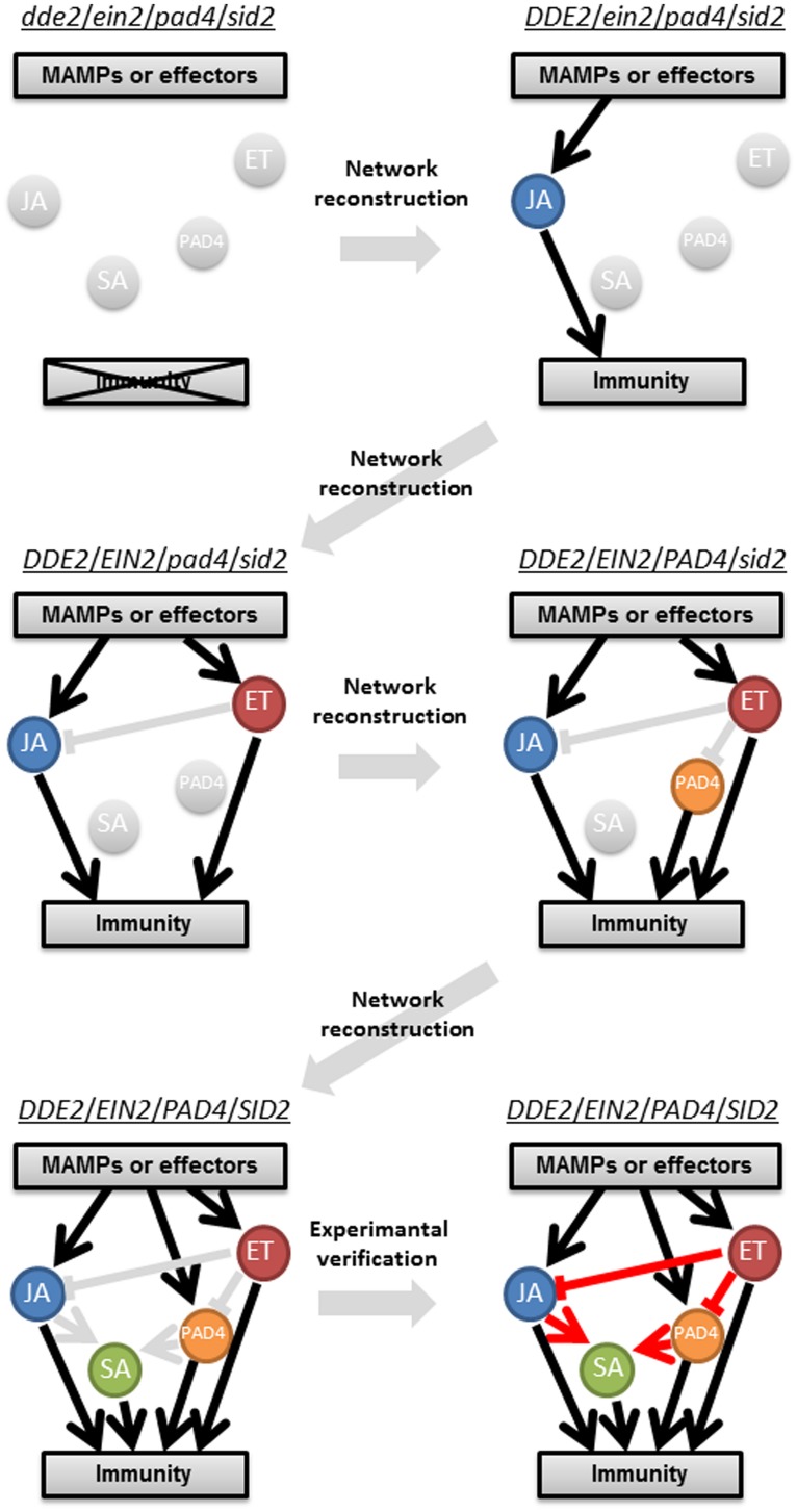 FIGURE 2