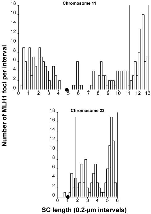 Figure  7. 