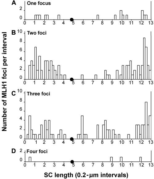 Figure  5. 