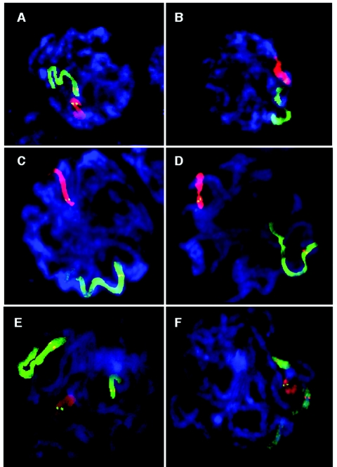 Figure  3. 