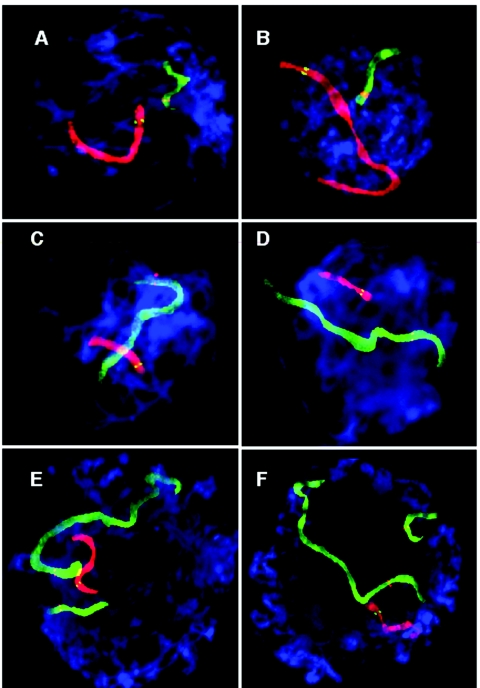 Figure  1. 