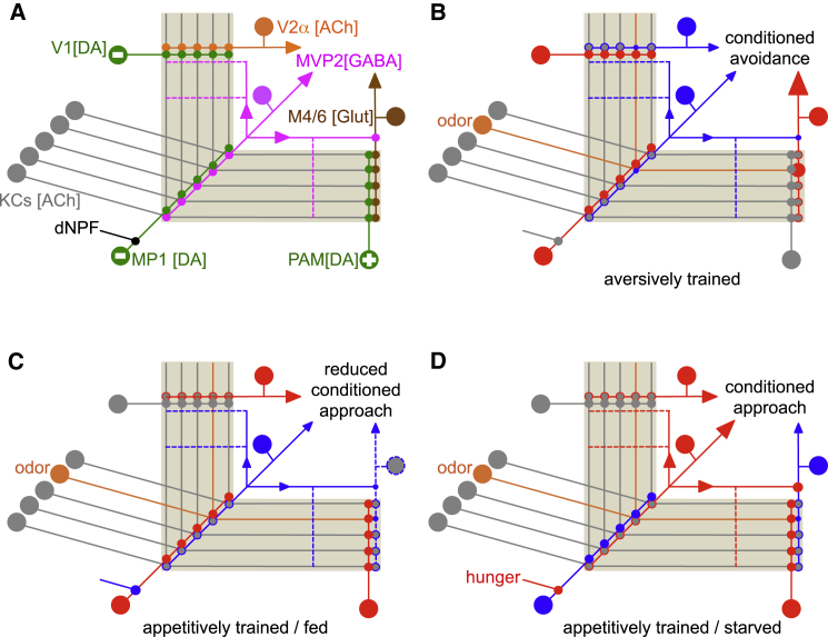 Figure 7