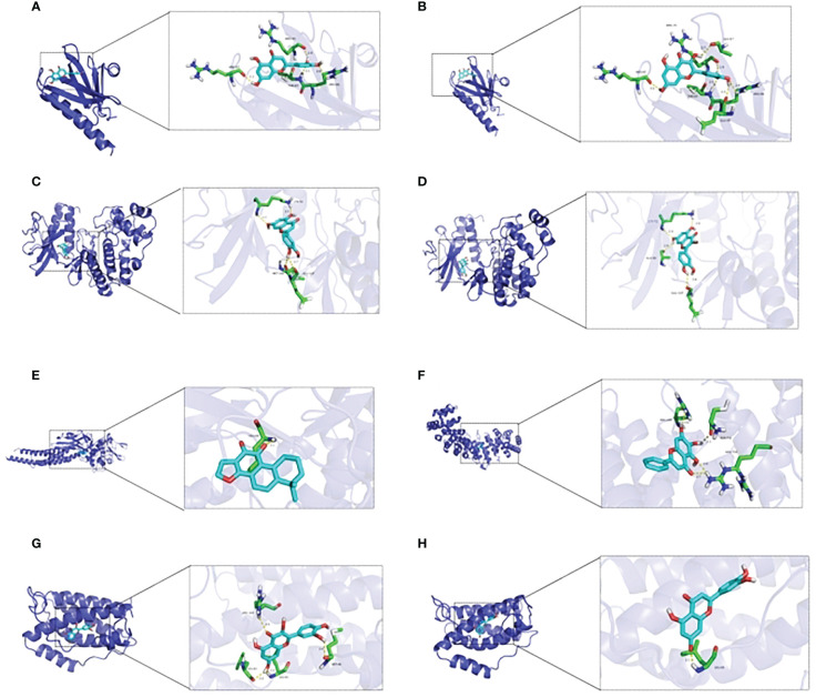 Figure 3