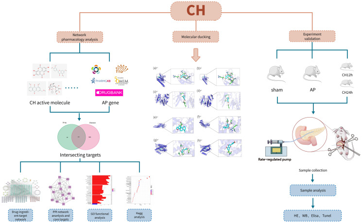 Figure 1