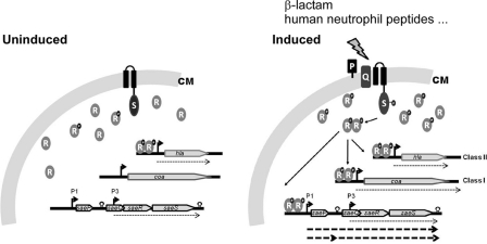 Fig. 9.