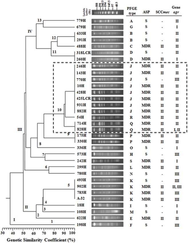 FIGURE 1