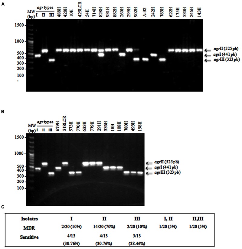 FIGURE 2