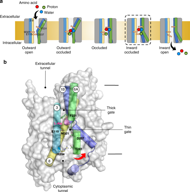 Fig. 6