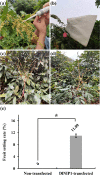 Fig. 11