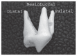 Figure 3a